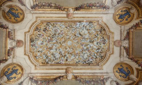 Plafond peint - petit cabinet des bains