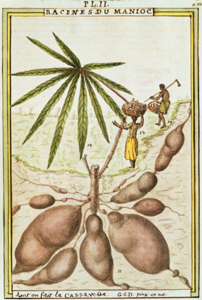 Guillaume-Silvestre Delahaye, Florindie, ou histoire physico-économique des végétaux de la Torride, 1789
