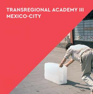Photo: Francys Alÿs, Paradox of Praxis 1, Sometimes Making Something Leads to Nothing, Mexico City 1997